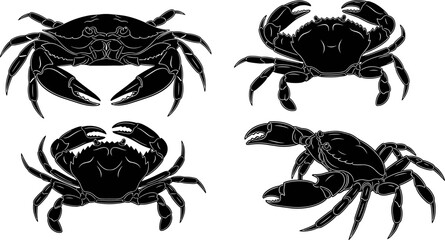 Black silhouette vector set of four crabs in various poses, depicting marine life, ocean seafood, shellfish, crustacean, sea animal, fishing, nautical themes, and aquatic nature illustration. © Sarsoti