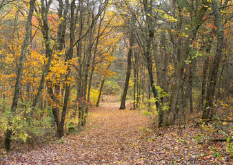 Walking Trail with Autumn Foliage in Mirror Lake State Park, Wisconsin