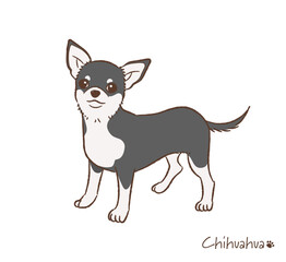 手描きのチワワ_ベクターイラスト