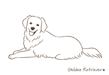 手描きのゴールデンレトリバー線画_ベクターイラスト
