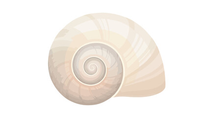 Obraz premium Pale spiraling seashell viewed from the apex on a white background