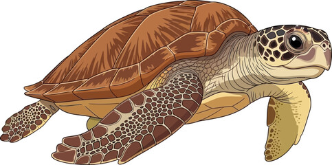 Detailed Illustration of a Sea Turtle Swimming Marine Life Ocean Creature Wildlife Art © Syam Artwork