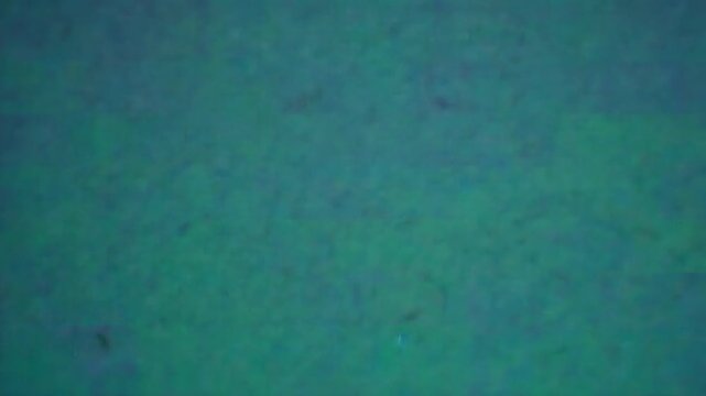 Textured deep teal background, no action, abstract design, usable for design element, wallpaper