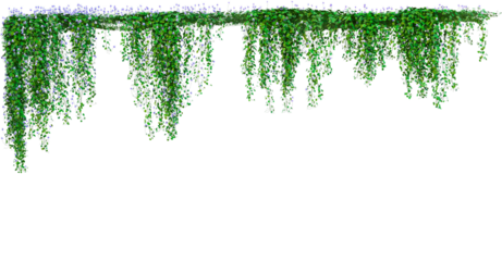 Hanging Green Vine With Small Flowers Isolated On Transparent Background