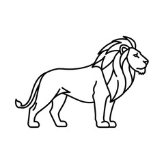 lion vector illustration