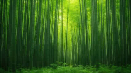 Serene bamboo forest with sunlight filtering through tall green stalks