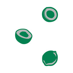 Make a Professional Coconut Icon Image