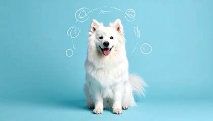 A fluffy white dog sits against a vibrant blue backdrop. Above, a hand-drawn circular diagram surrounds the dog's head