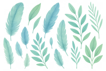 Watercolor feathers and botanical leaves set with transparent background, nature inspired pastel illustration