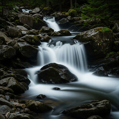 small waterfall in the forest