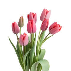 Fototapeta premium bouquet of red tulips