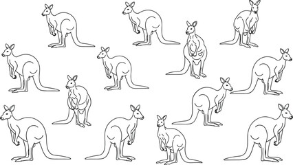 Obraz premium Collection of black line art kangaroos in various poses on white background marsupial animal