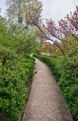 Fototapeta premium Alley in the Southern Cultures park. Sirius. Krasnodar Krai. Russia