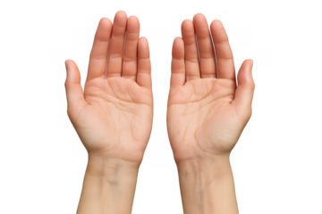 Human hands open, palms up, showing a gesture of offering, receiving, giving, praying, or asking for help