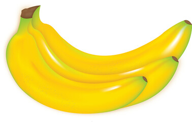Yellow Banana Bunch Vector Illustration on transparent Background