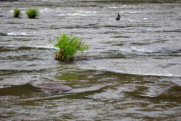 Chalakudy River flowing over rocky terrain near Athirappilly Falls, Thrissur, with green vegetation emerging from water-worn rocks.
