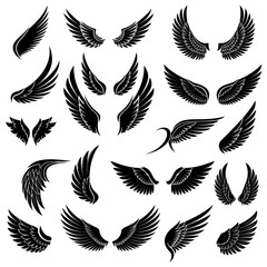 Fototapeta premium Collection of Various Black and White Wing Designs.