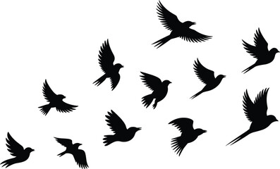 Fototapeta premium Flying bird silhouette collection, dynamic wing positions, elegant vector illustration for nature, wildlife, freedom, motion, sky, and artistic design themes
