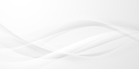 gray and white abstract background modern vector illustration
