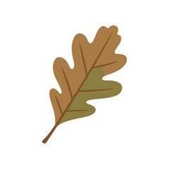 Obraz premium Autumn Oak Leaf Illustration in Brown and Green Hues.