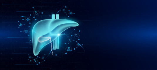 Health care medical. Human liver organ hologram transparent in the ring line with icon digital medical technology. On dark blue background. Science banner vector.