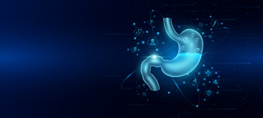 Health care medical. Human stomach organ hologram transparent in the ring line with icon digital medical technology. On dark blue background. Science banner vector.