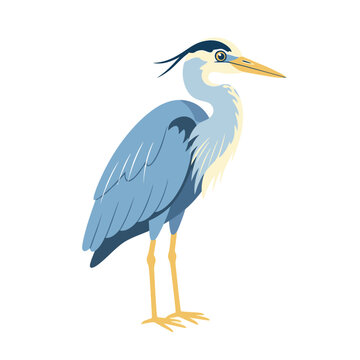 A illustration of a heron standing alone in a natural setting with blue feathers.