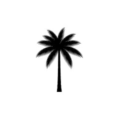 Obraz premium Silhouette of a Palm Tree Against a White Background.
