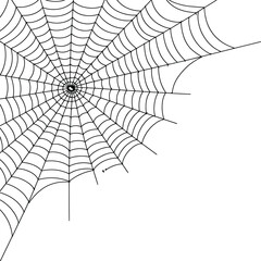 Obraz premium A detailed corner spiderweb with a small spider at its center