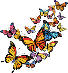 Fototapeta premium Colored line art vector showing a magnificent migration scene with many Monarch butterflies flying in the same direction. White background.