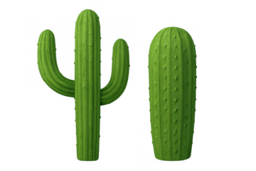 Green 3d cactus elements standing on a transparent background representing desert flora and succulent plants