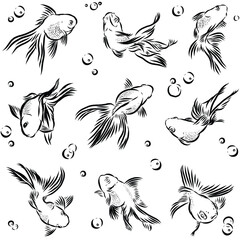 Obraz premium Element or pattern of goldfish for decoration and textile isolated on transparent background