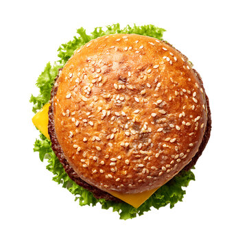 Burger top view png