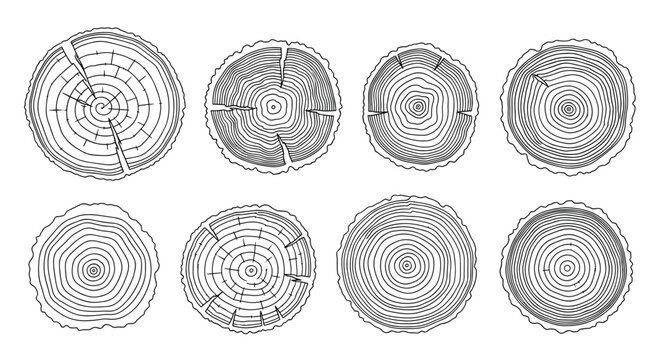 A collection of eight detailed line art illustrations depicting various tree ring cross-sections, showcasing natural growth patterns and cracks.