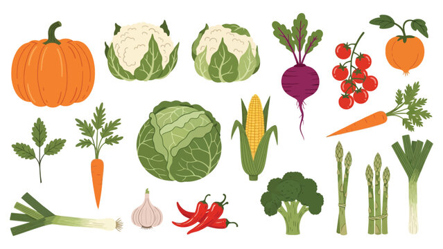 Colorful flat design vector illustration set of fresh market vegetables
