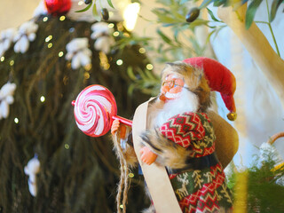 Santa Claus toy close-up on the background of a blurred Christmas tree