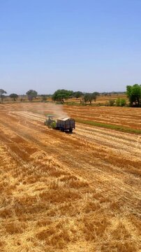 Farmer with tractor harvesting wheat / cutting parali 
