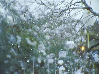 winter snow blurred background in city park, snowfall in forest, tree branches and bushes covered with snow,