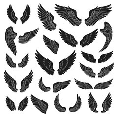 Obraz premium Collection of Detailed Black and White Wing Illustrations.