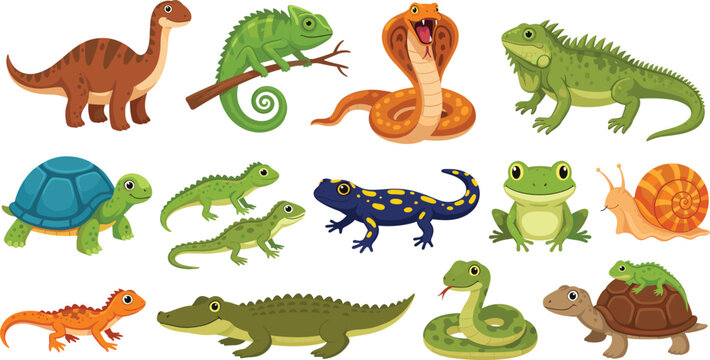 Cartoon reptile and amphibian vector collection featuring cute snake turtle frog crocodile lizard dinosaur and chameleon characters for educational nature children design.