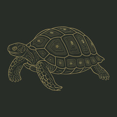 Fototapeta premium vector illustration of turtle
