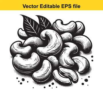  vector illustration of a pile of cashew nuts with a leaf on a white background in a black and white sketch style