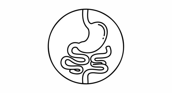 Line drawing of the human digestive system inside a circle on a white background.