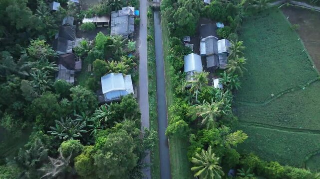 Aerial top down view of a rural road running parallel to an irrigation canal and rice fields in Gunung Jae, West Lombok, Indonesia.
