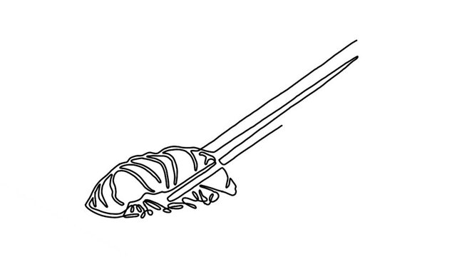 continuous line animation of hand holding chopsticks with sushi