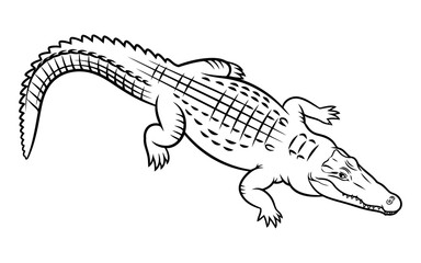 Naklejka premium A digital vector file concept showcasing its importance in graphic design and scalability