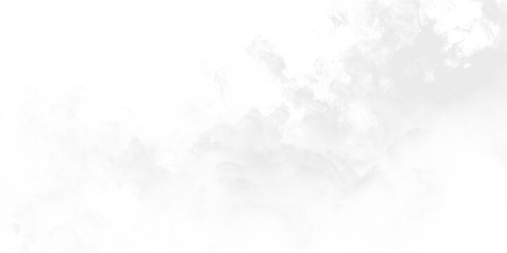 Fog blankets a landscape with soft clouds and hazy visibility in the early morning hours of a quiet day