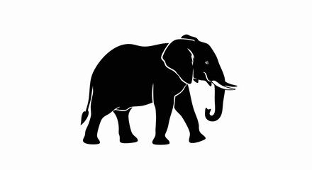 Fototapeta premium Silhouette of an African Elephant walking from left to right.