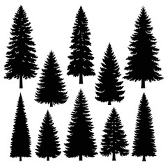 Obraz premium Silhouette Collection of Evergreen Trees for Design and Decoration.