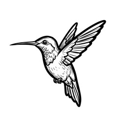 Obraz premium Hummingbird flying with outstretched wings in black and white illustration